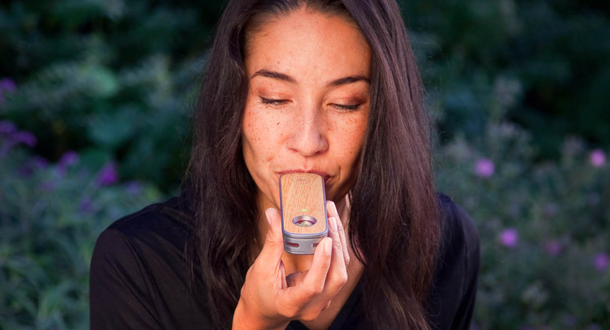 Los vaporizadores más populares