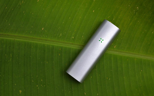 Pax 2 Vaporizer Review