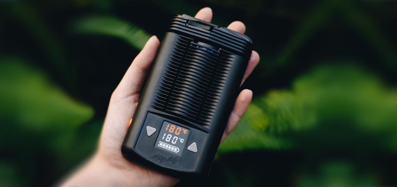 vaporizador Storz and Bickel España