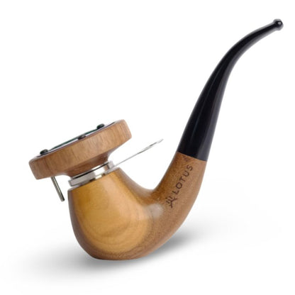 Pipa Lotus Gentleman