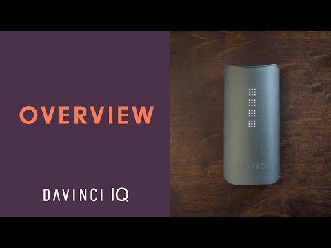 Coeficiente intelectual DaVinci
