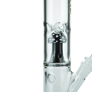 bong de hongo blaze Irlanda